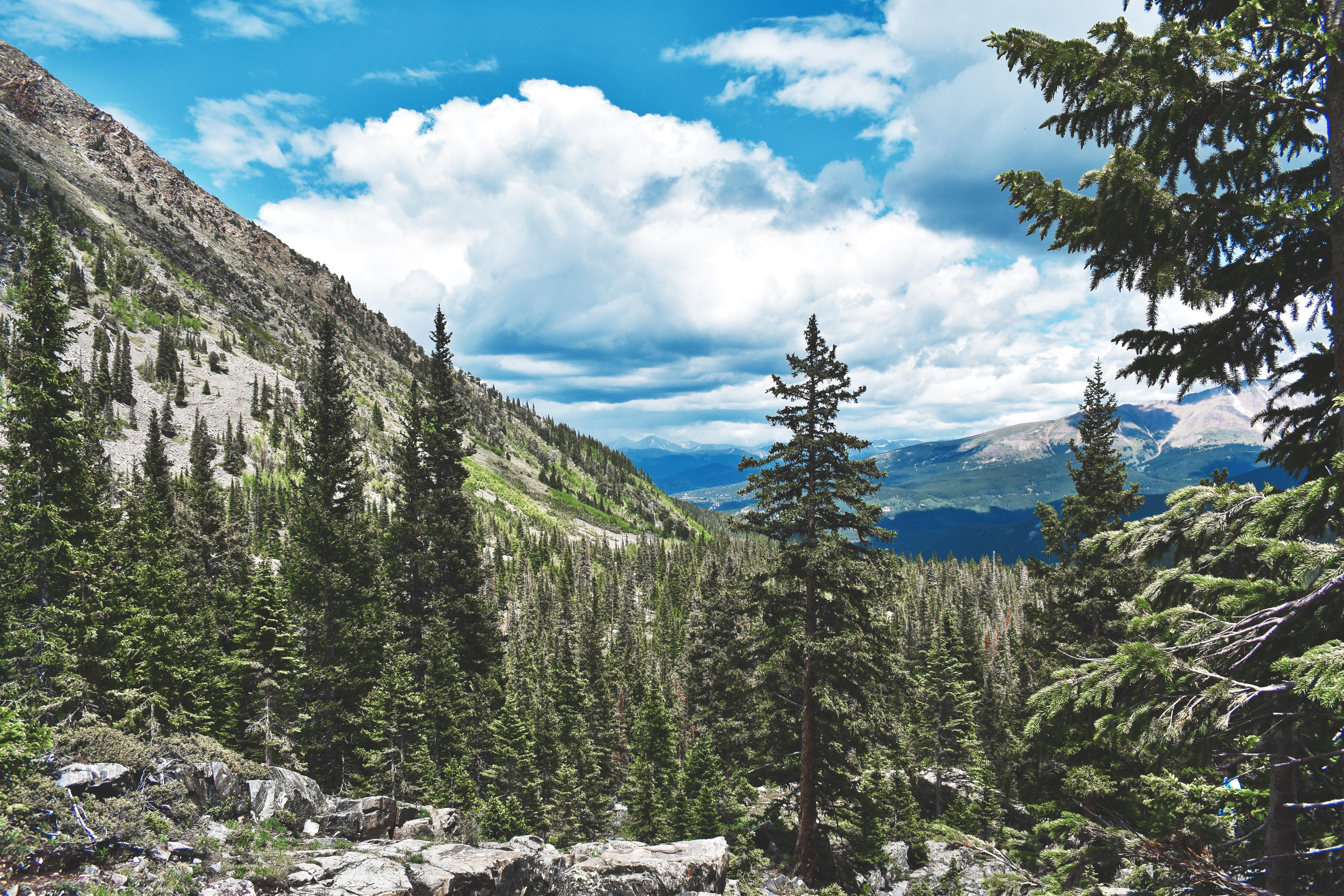 The Wedding Website of Madeline Smith and Jonathan Flannery