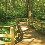 Fontenelle Forest