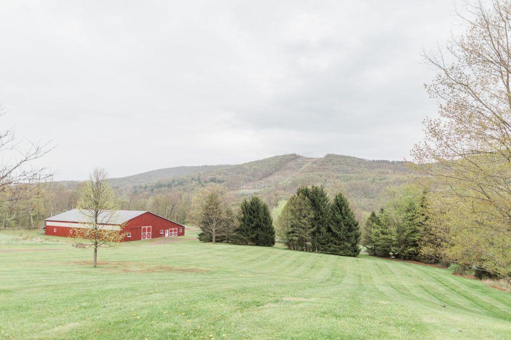 The Wedding Website of Emmaline Freeman and Christopher Mingone