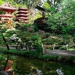 Hayward Japanese Gardens
