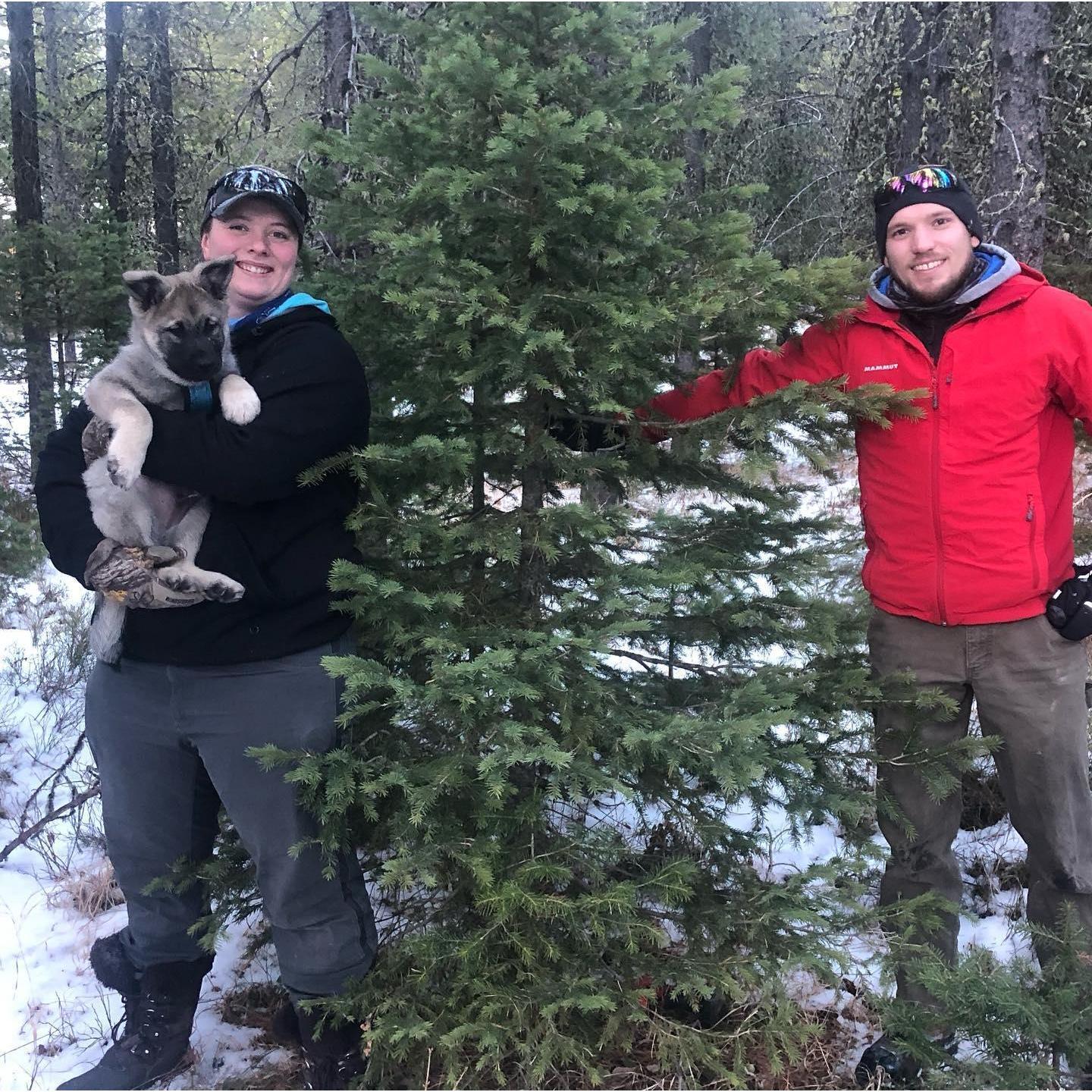 First Christmas Tree!