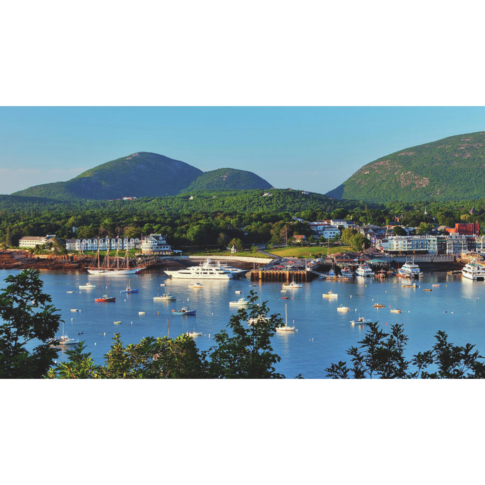 Bar Harbor Inn is the  left of this picture with the rounded front.