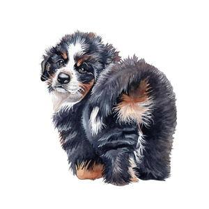New Puppy Fund