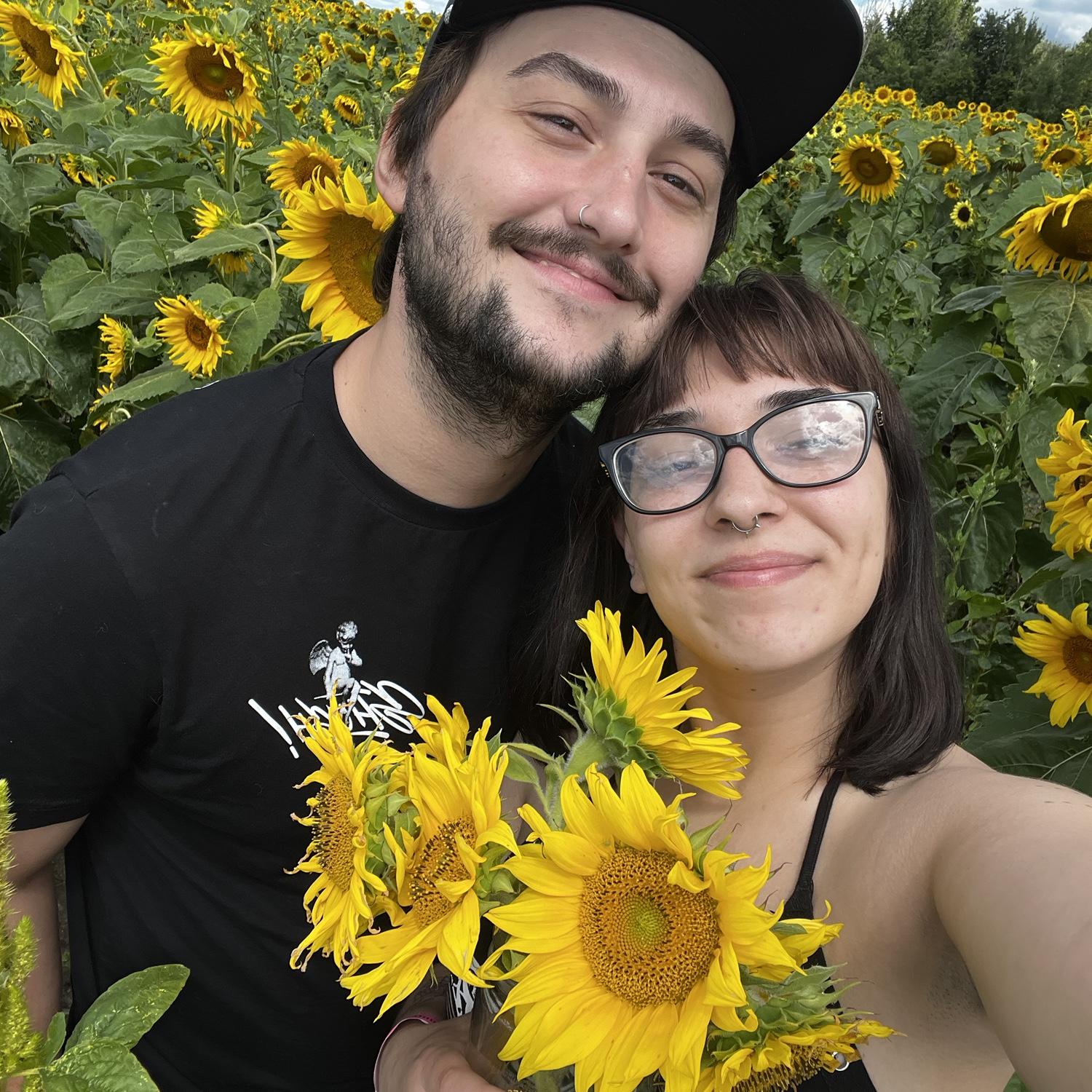 blakes sunflower festival 🌻