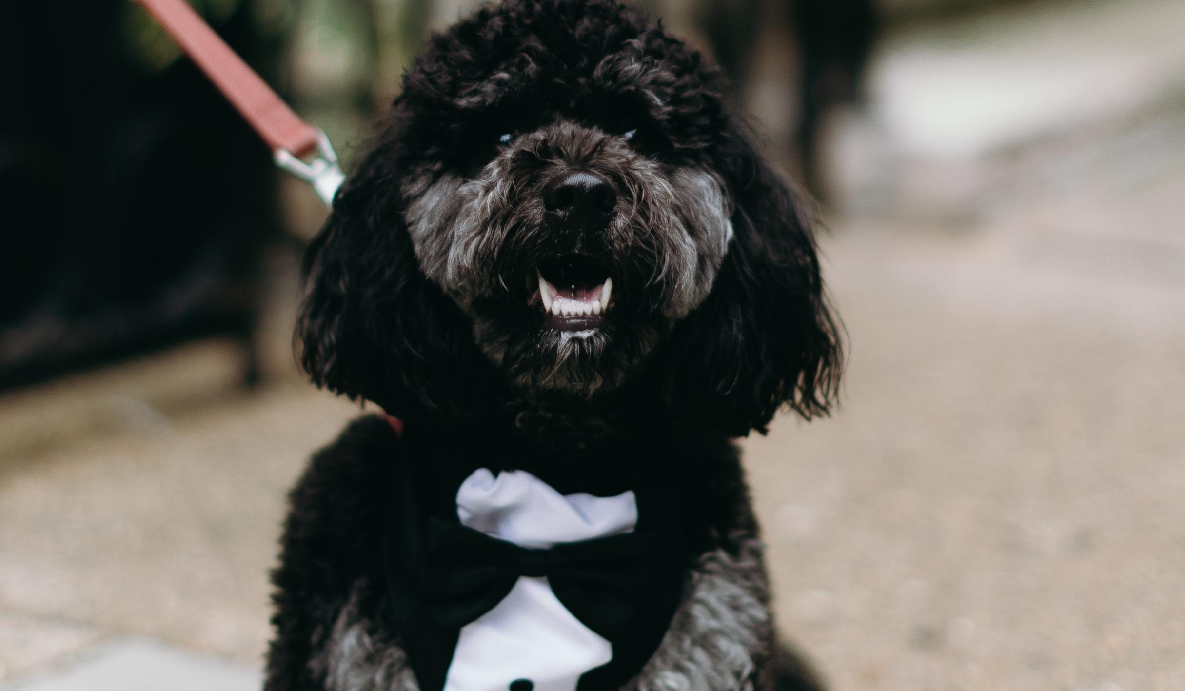 The Wedding Website of Natalie Gandy and Xavier Medina