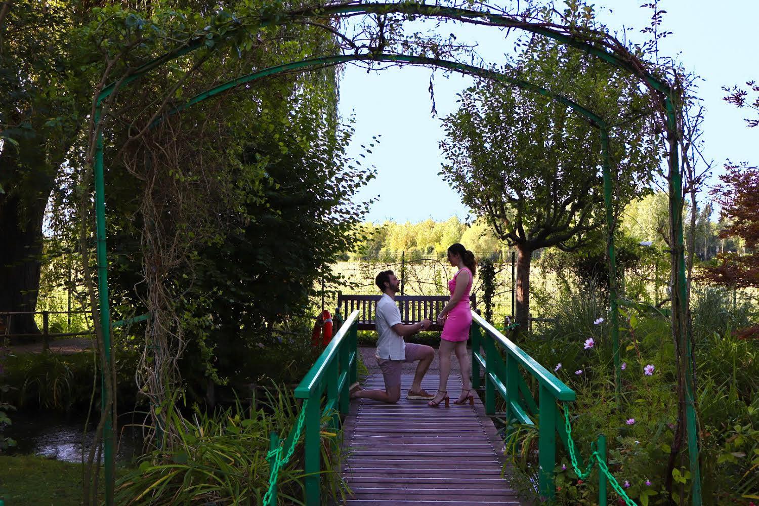 The Wedding Website of Sara Levine and Aaron Hendel