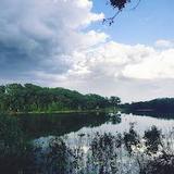 Hickory Grove Park