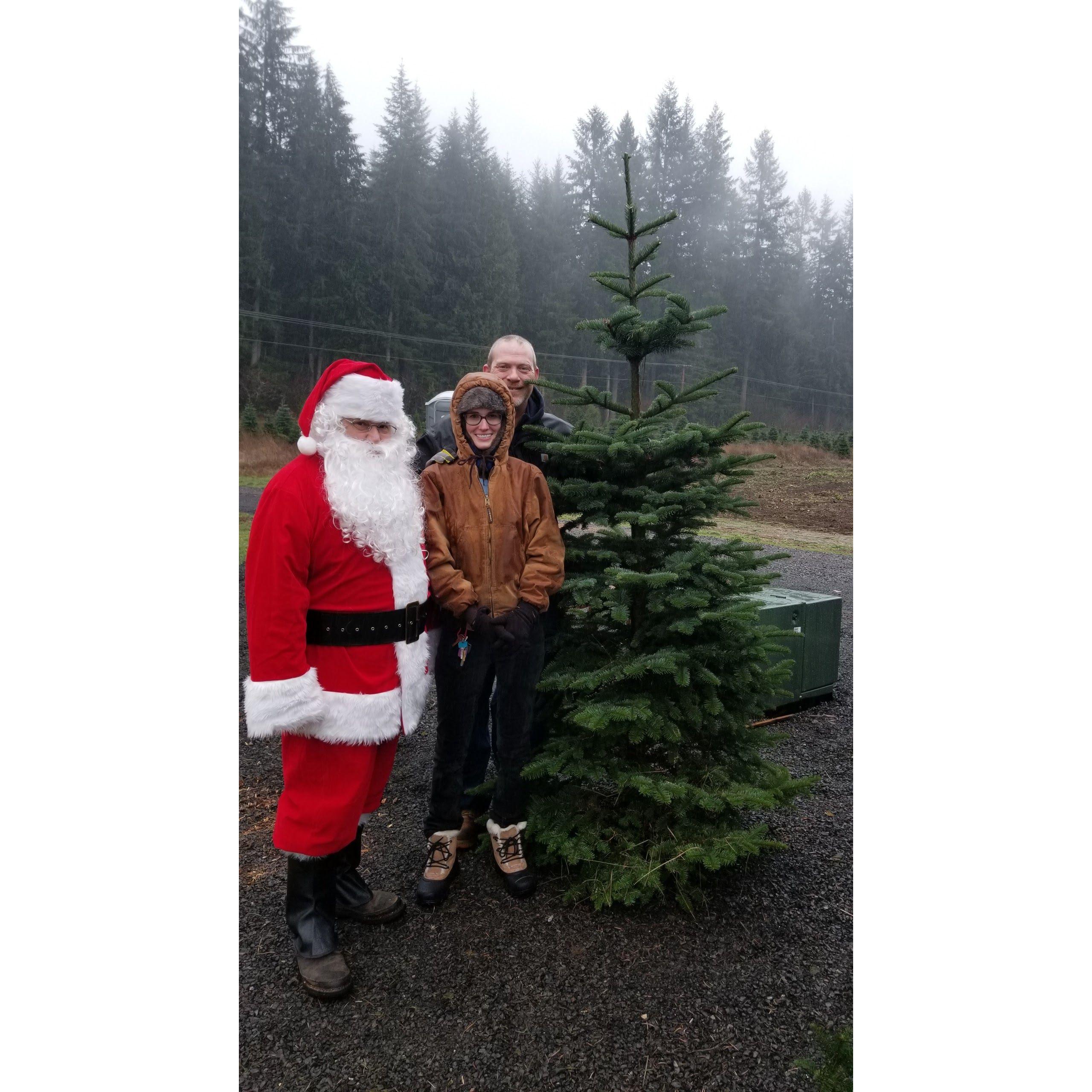 Our first Christmas tree!