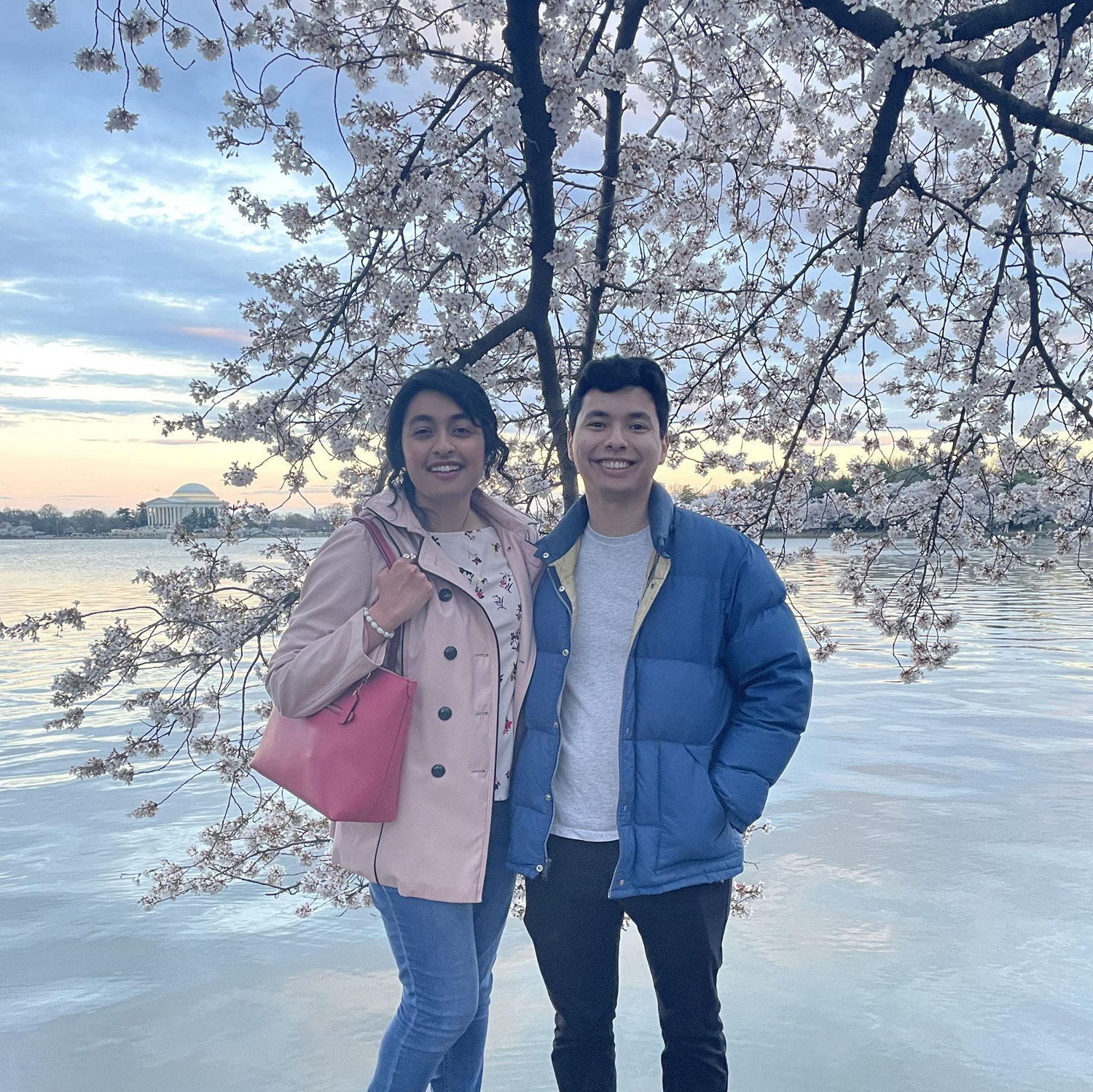 Our first cherry blossom season in D.C.!