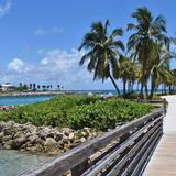DuBois Park