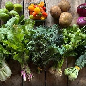 Growing Food for the Feast
