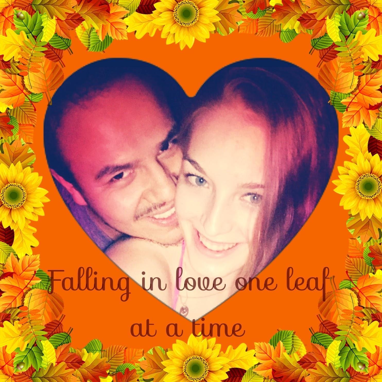 Falling in love one leaf at a time 2016