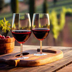 Douro Valley River Wine Tour