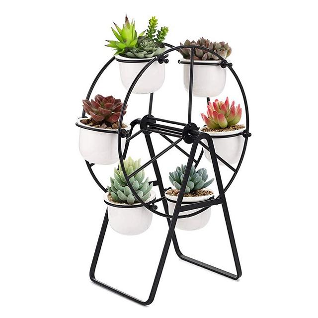 JuxYes Ferris Wheel Planter Succulent Plant Stand with 6 Flower Pot, Succulent Plant Bonsai Holder Ceramic Succulent Planter Pot Display Stand Rack for Home Office Decor (Black)