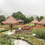 Winter Flower Garden in Betong