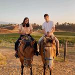 Wine Country Trails by Horseback