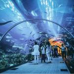 Georgia Aquarium