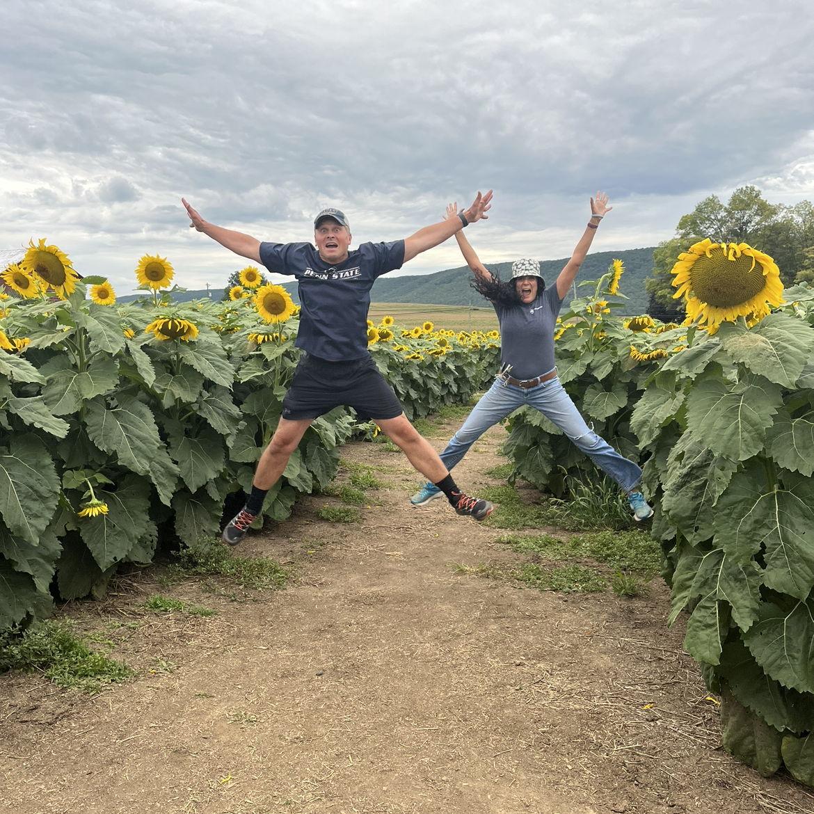 Sunflower patch antics