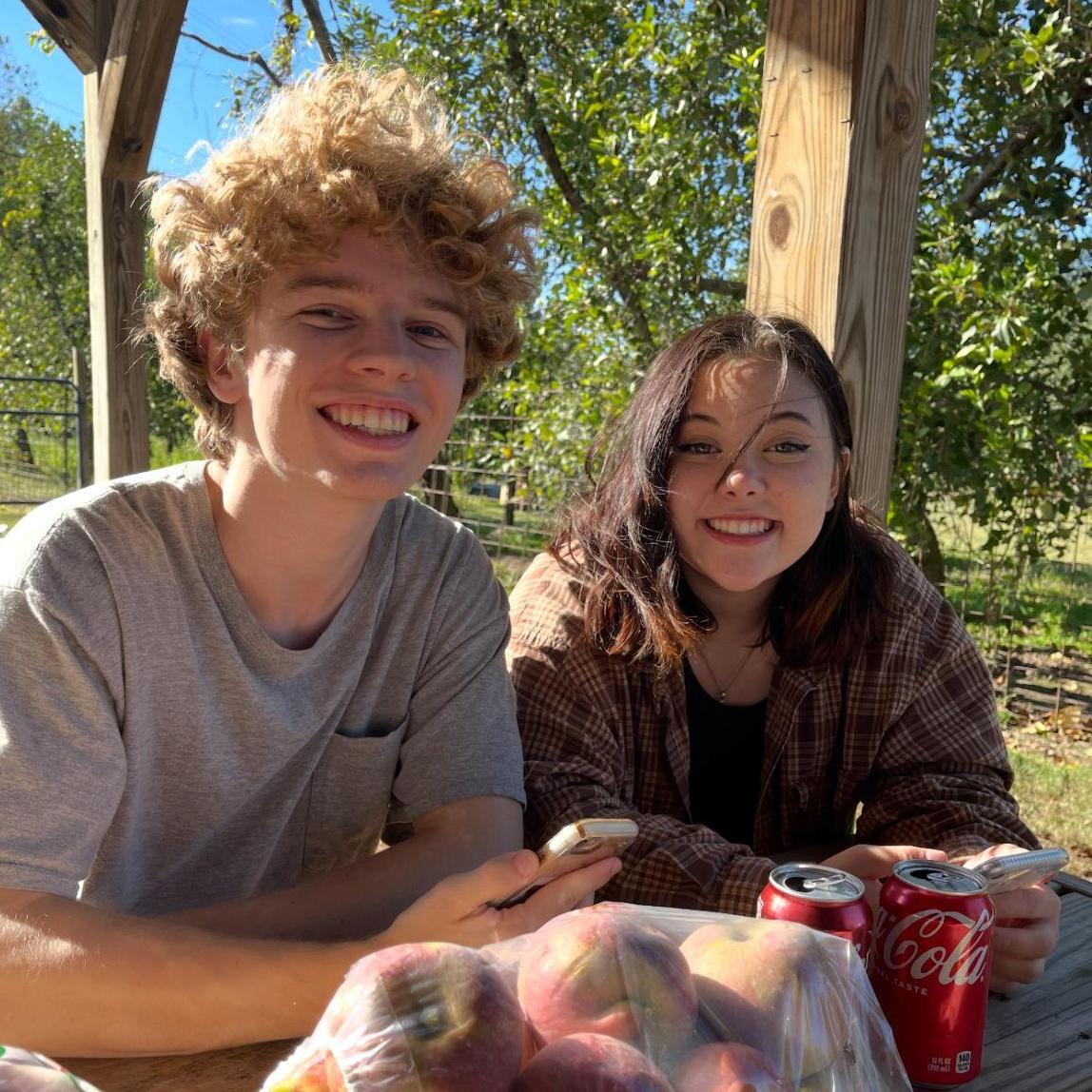 Apple picking, 2021
