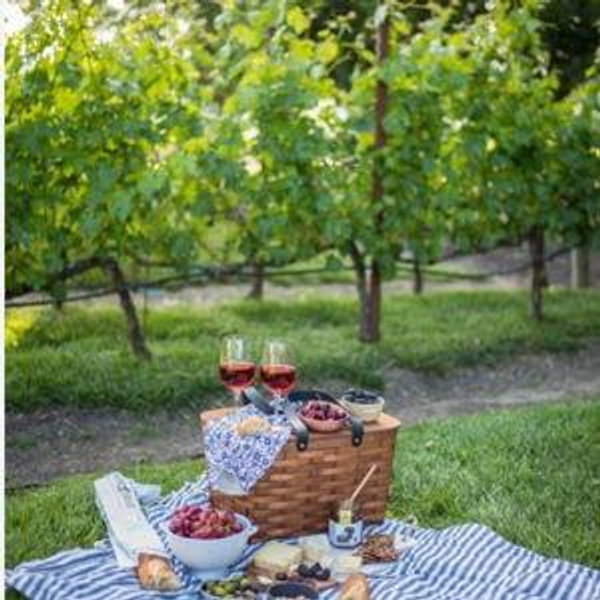 Vineyard Picnic & Tasting