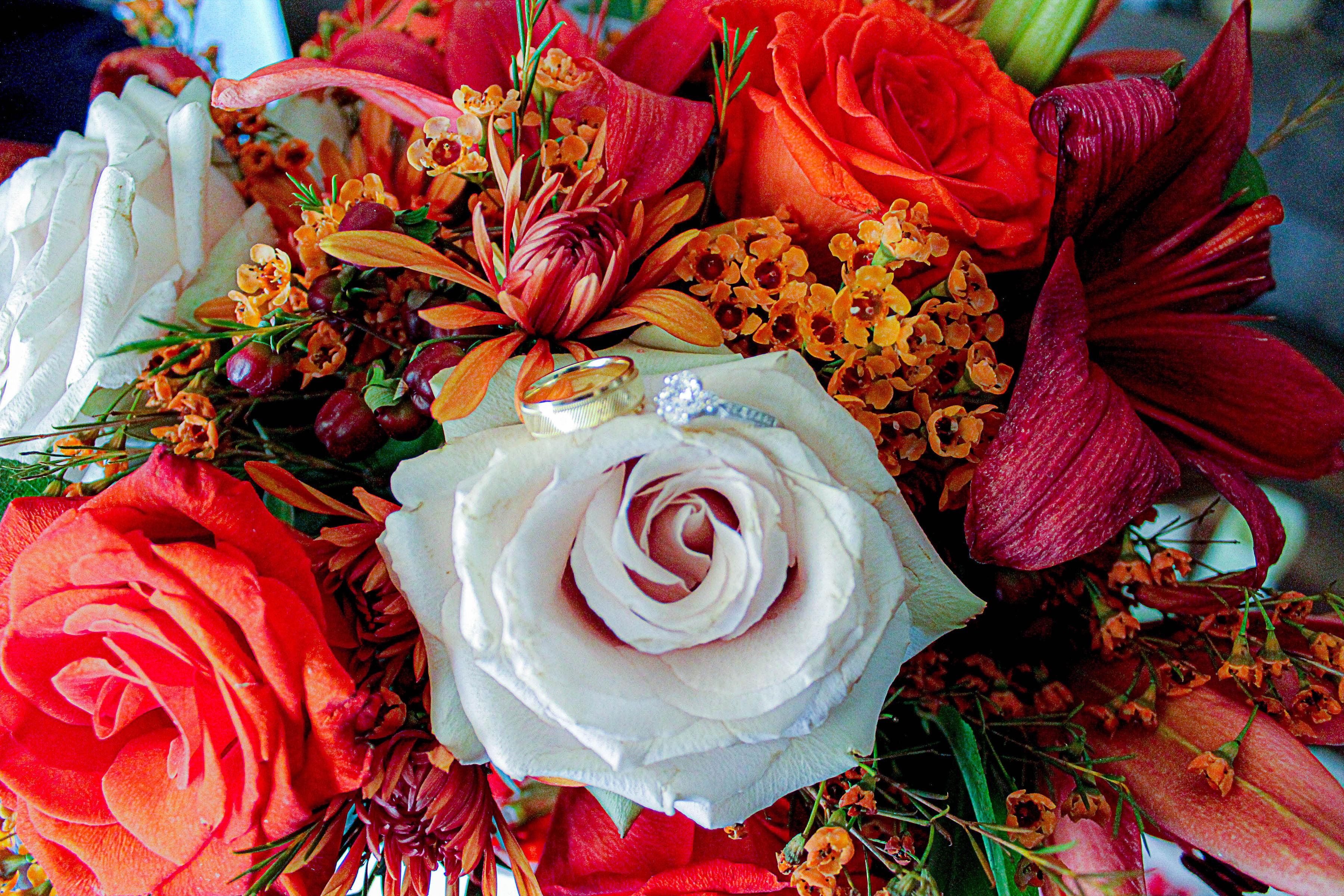 The Wedding Website of Vijal Vadecha and Jinesh Savla