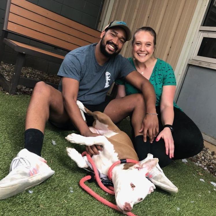 Our family grew when we adopted Layla in June of 2019.