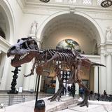 Field Museum
