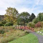 Nannen Arboretum