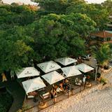 Macaw Beach Bar