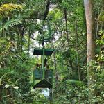 Gamboa Rainforest Reserve