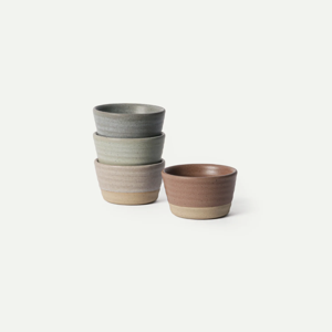 Harvest Condiment Ramekins in Multicolor