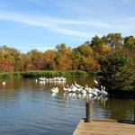 White Rock Lake Park