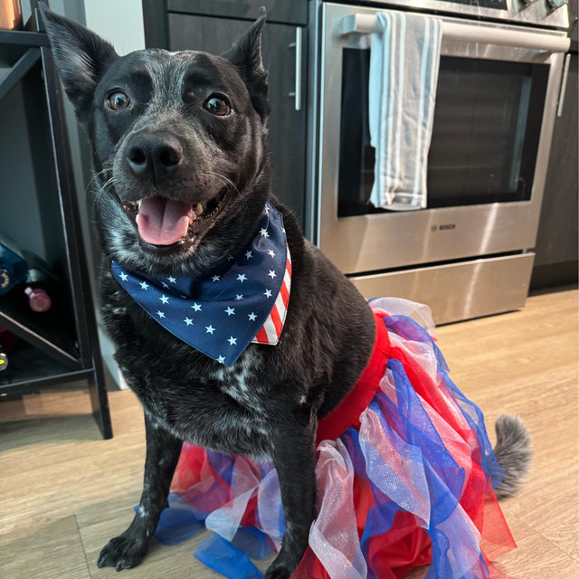Stella’s Daycare Fund
