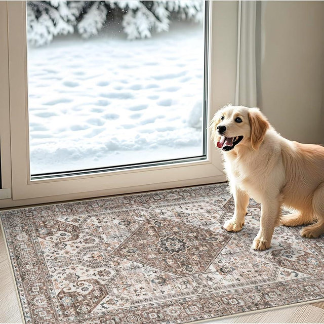 Washable 2x3 Entryway Area Rug: Vintage Non-Slip Backing Rugs for Kitchen Bathroom Water Resistant Carpet for Bedroom Soft Low Pile Front Door Mat for Dining Room 2x3 Brown
