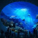Seattle Aquarium