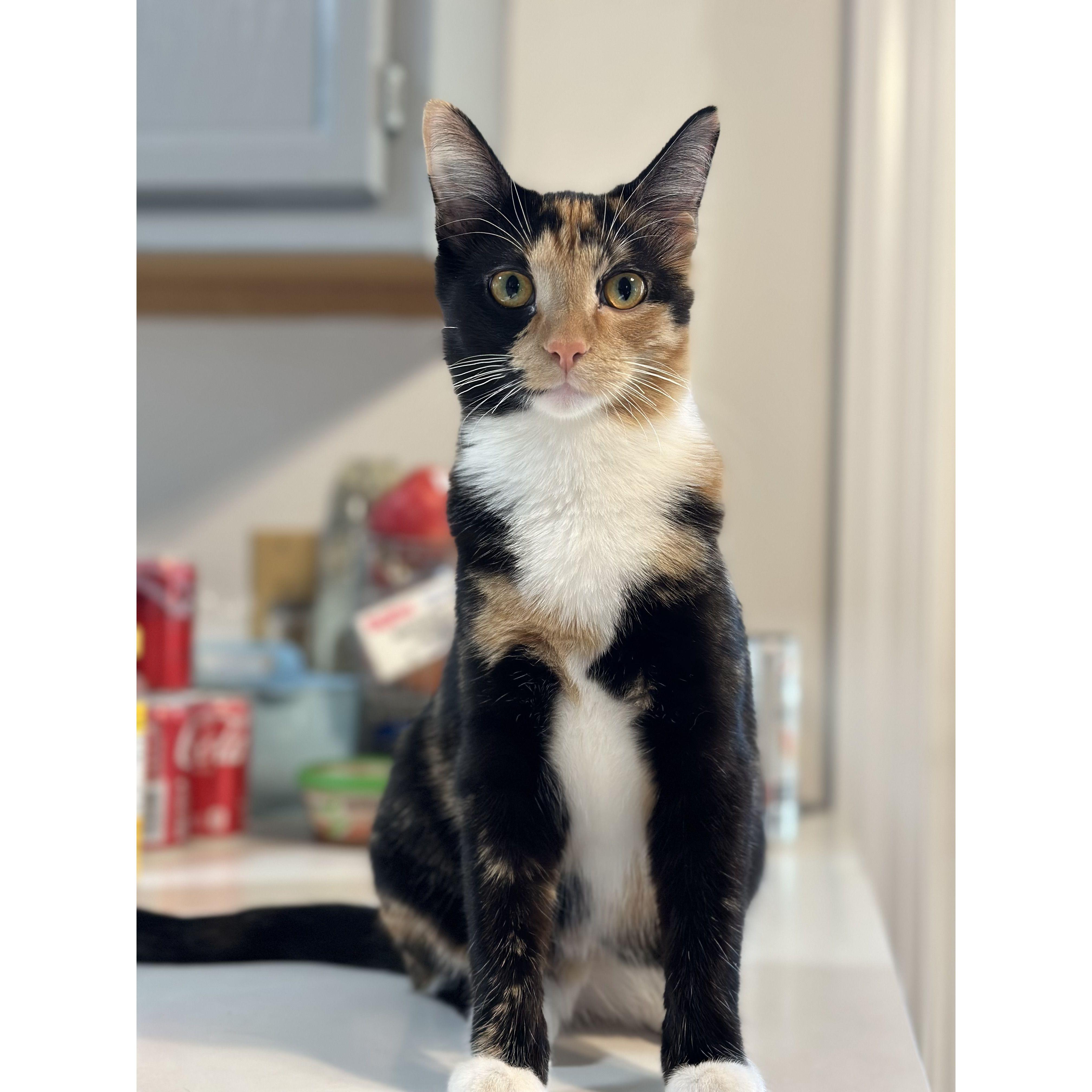 September 2023- Adopted Mabel!