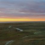 Monomoy National Wildlife Refuge