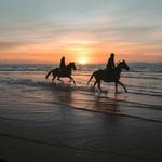 Amelia Island Horseback Riding
