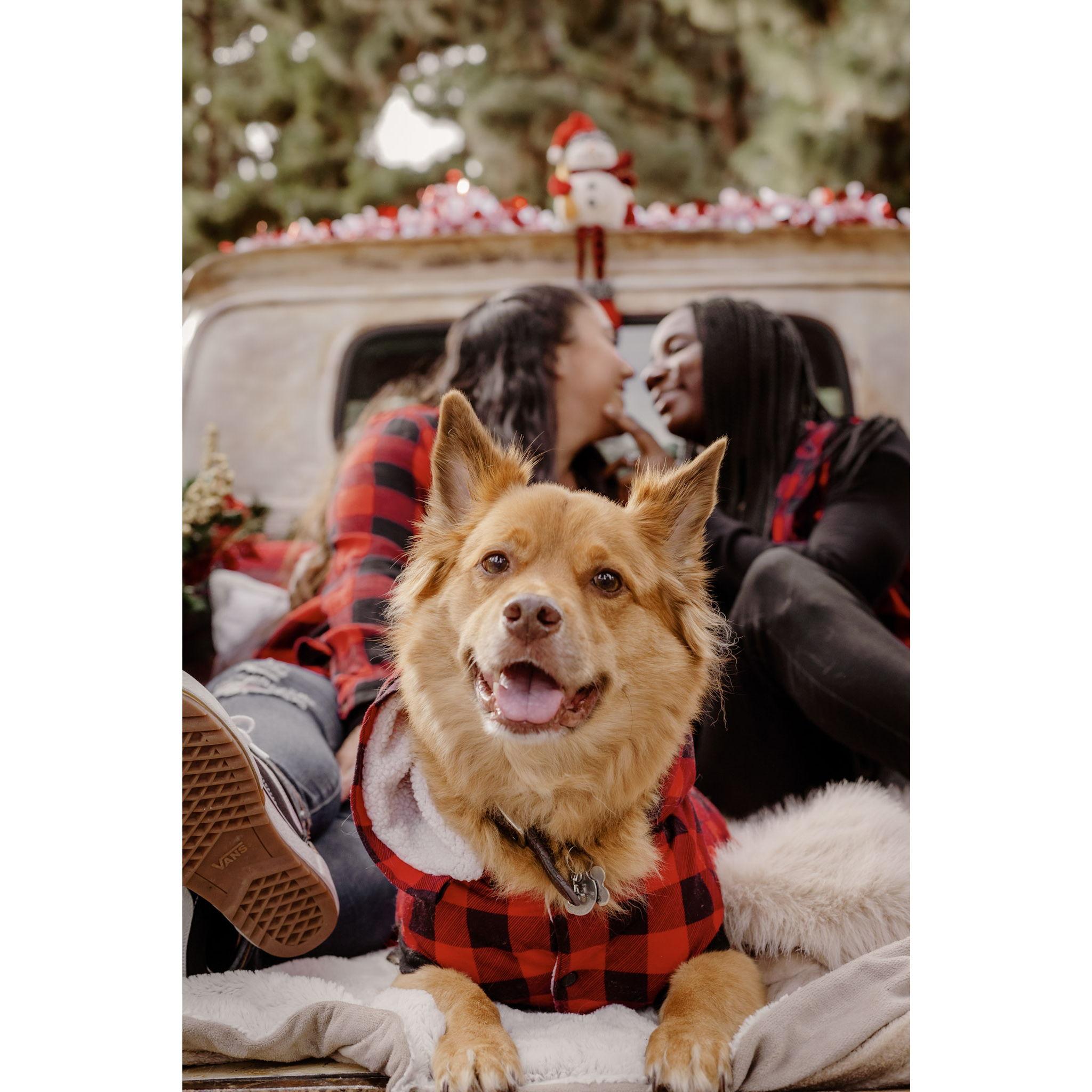 Our first Christmas photos