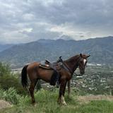 Horseback riding in the mountains with Juan
