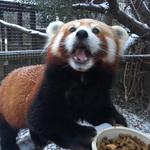 Miller Park Zoo