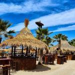 Bolivar Beach Bar