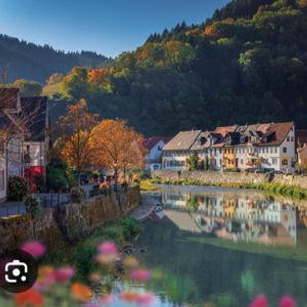 Train tickets and a meal in the Black Forest!