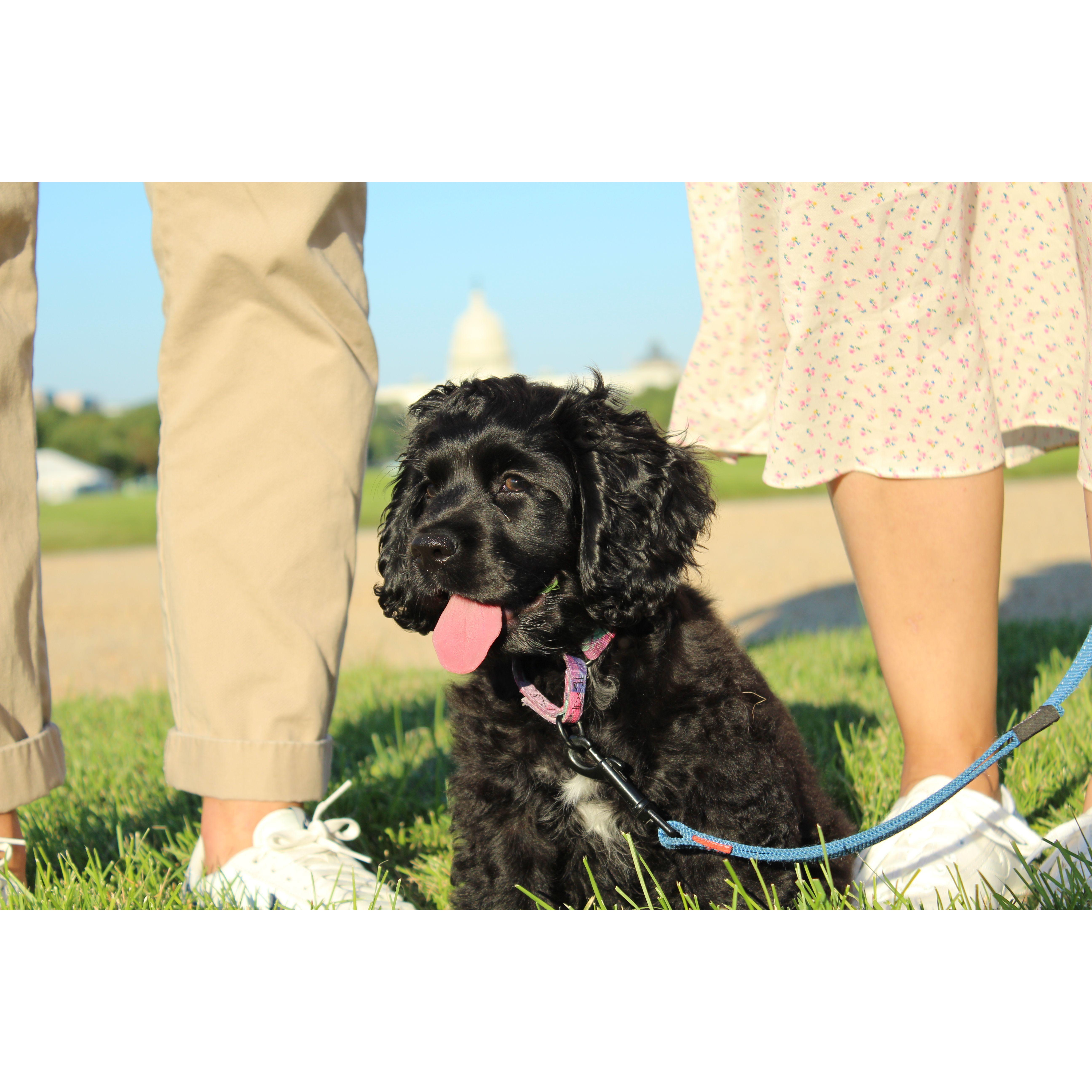 OLIVE! (July 2020)