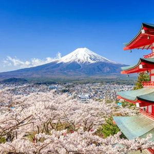 Trip to Japan