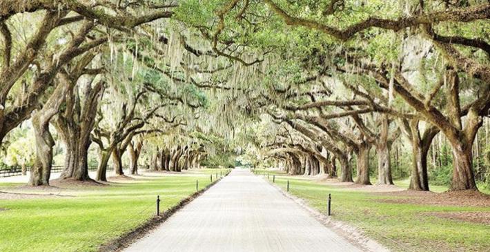 The Wedding Website of Hollis Hitchens and Matt Staub