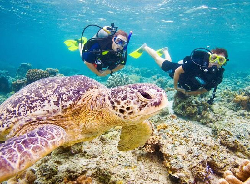 Discover Scuba Diving Class
