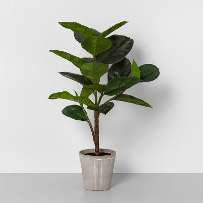 26" Faux Rubber Tree Potted Plant - Hearth & Hand™ with Magnolia