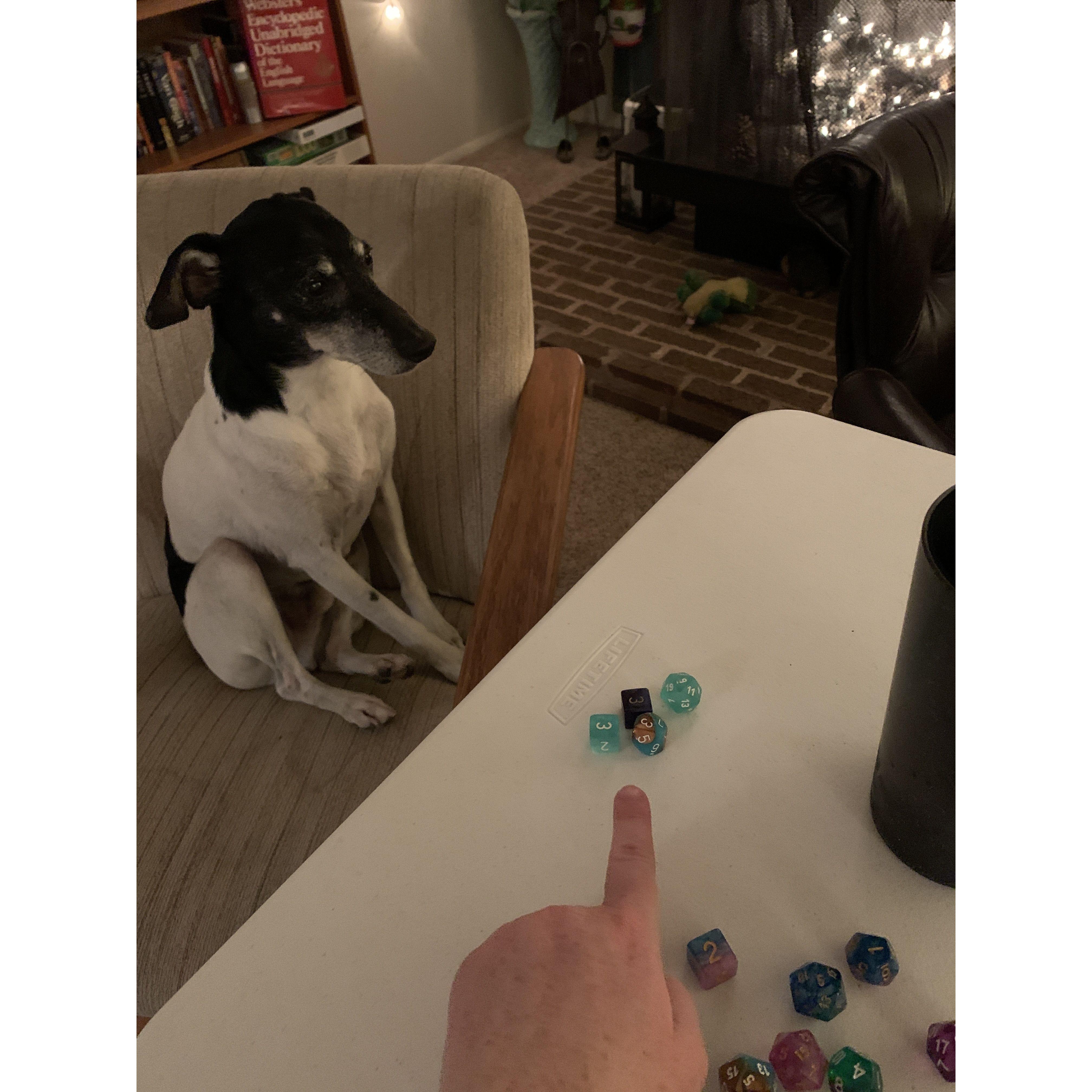 Zeke's first time playing Dungeons and Dragons
