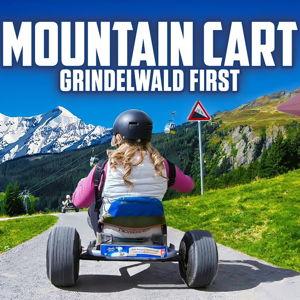 Mountain Cart at Grindelwald